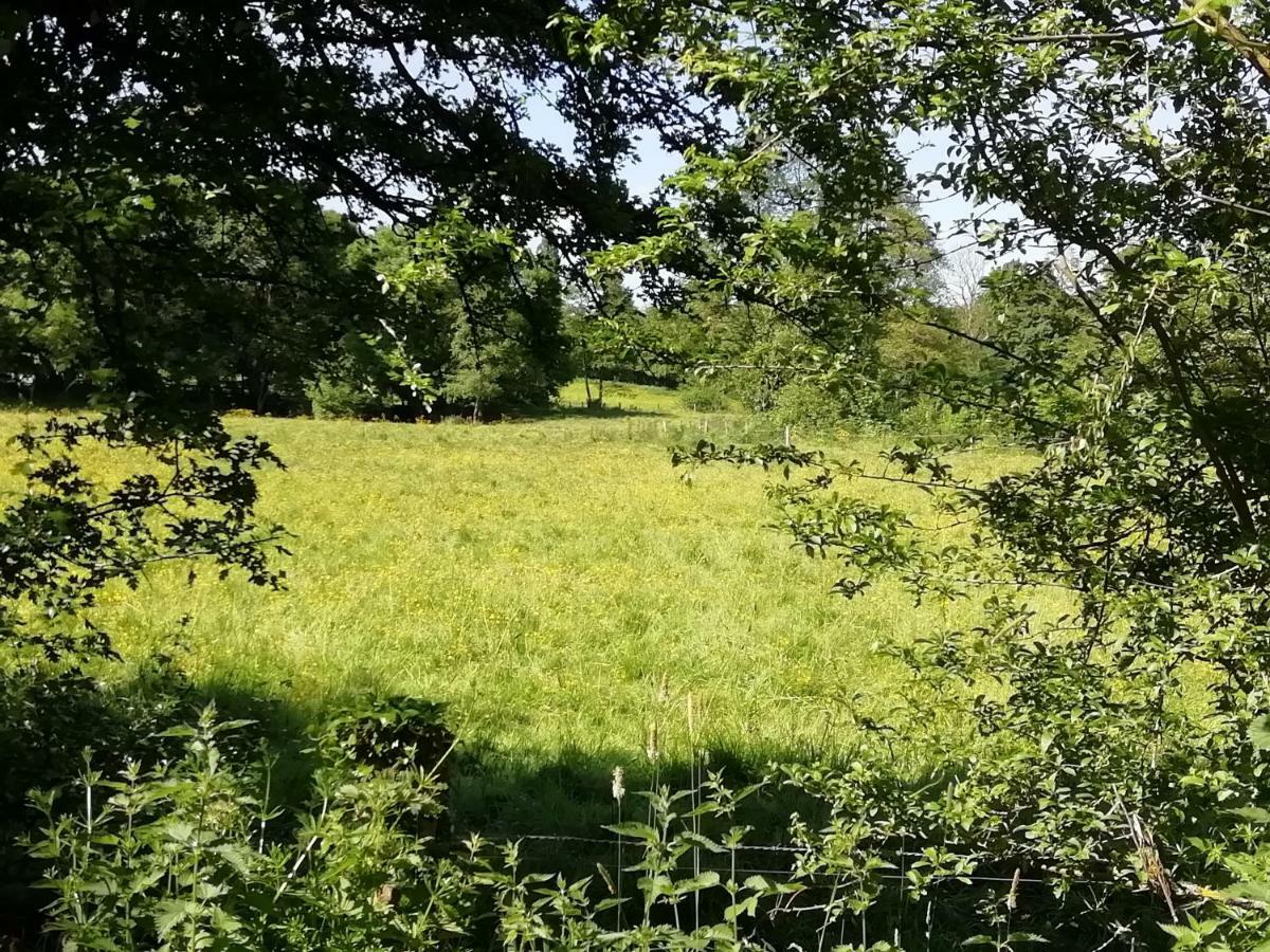 Gite Le Moulin Saint-Vaast-sur-Seulles Esterno foto